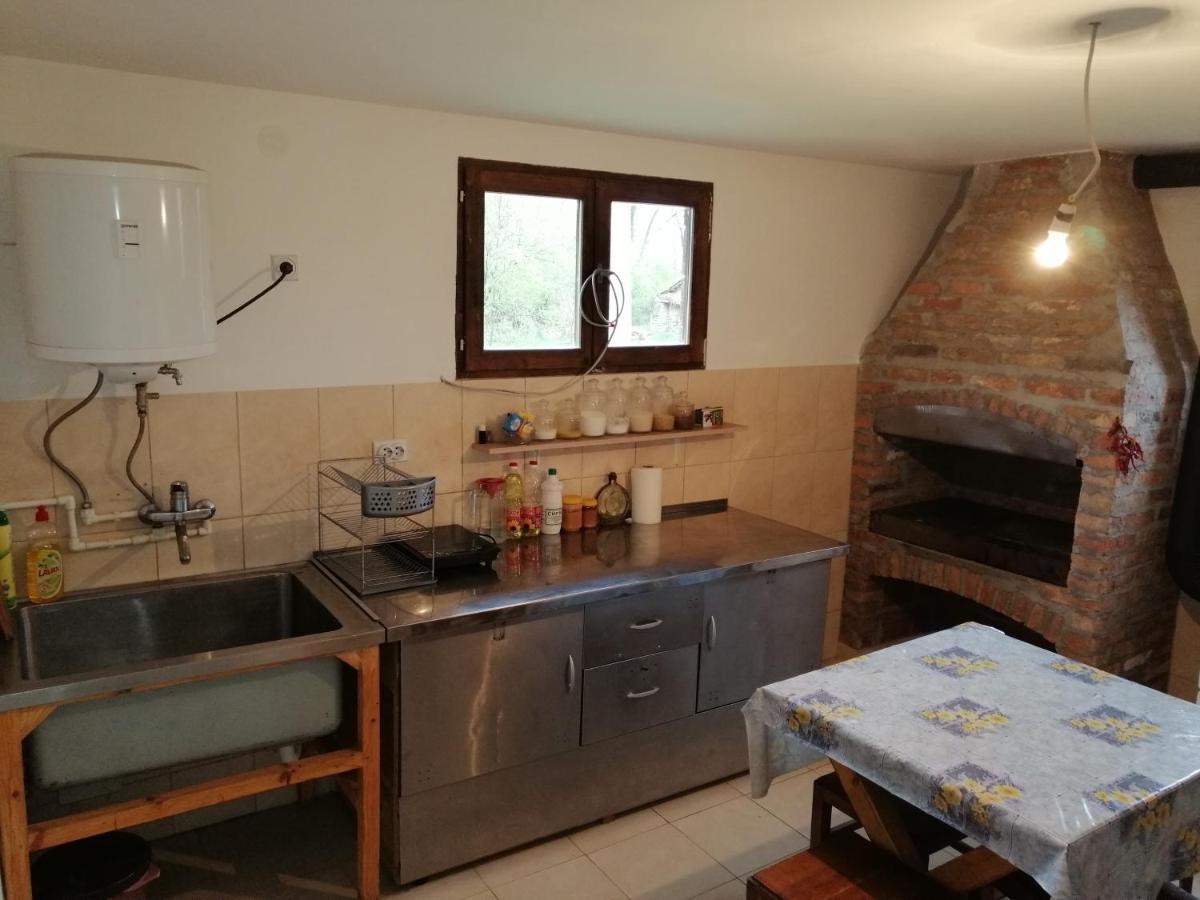 Etno Kuca Nikolov Villa Dimitrovgrad Exteriör bild