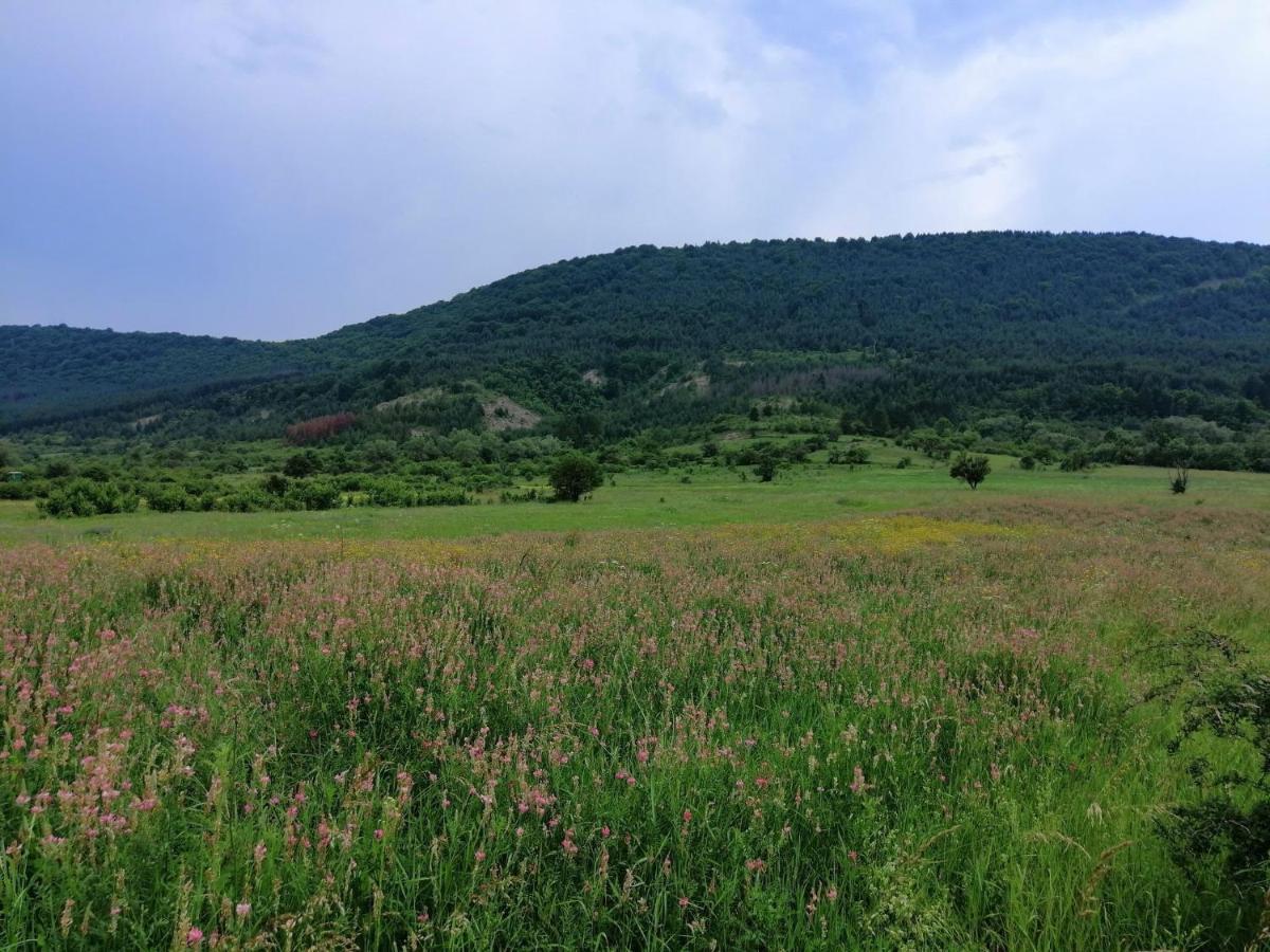 Etno Kuca Nikolov Villa Dimitrovgrad Exteriör bild